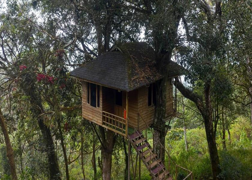 Kerala Munnar Hotel Exterior