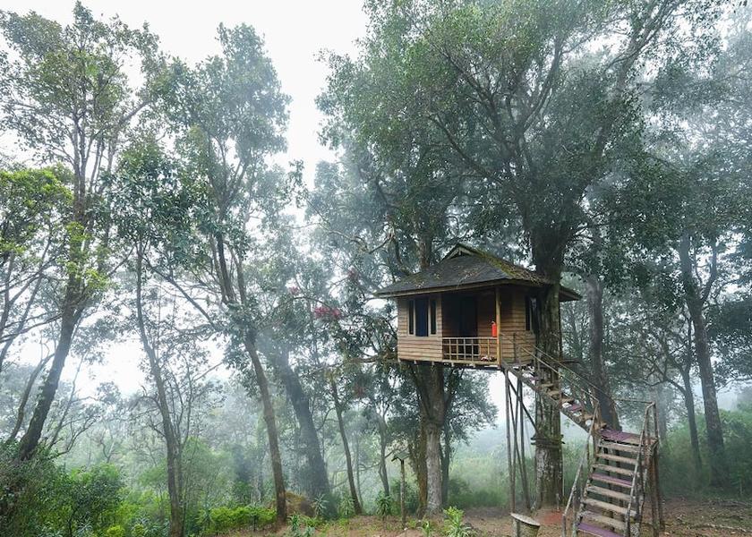 Kerala Munnar Hotel Exterior