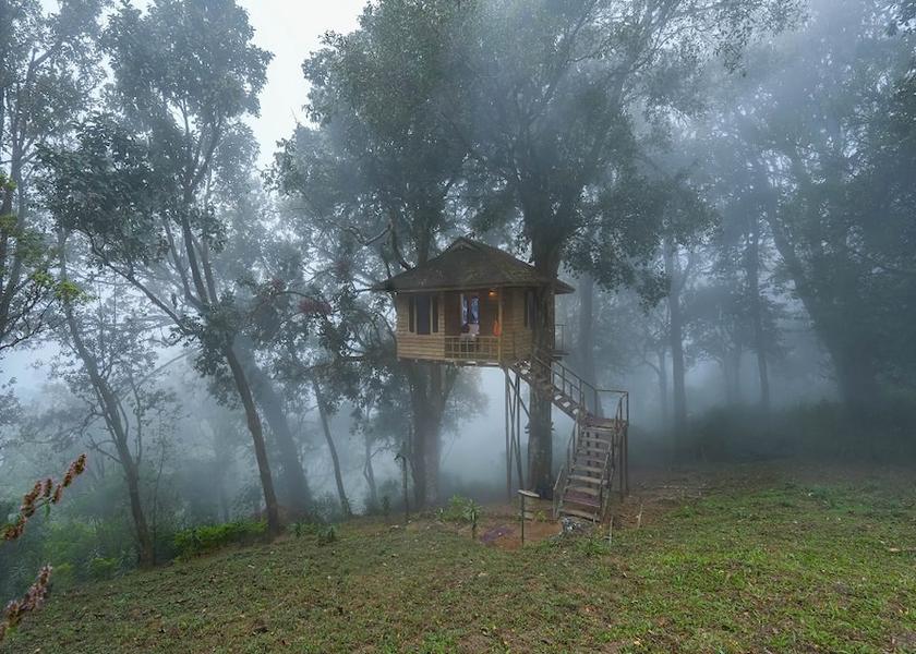 Kerala Munnar Hotel View