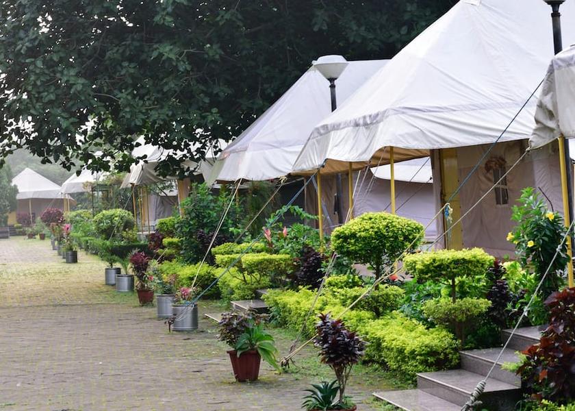 Madhya Pradesh Amarkantak Tent View 2