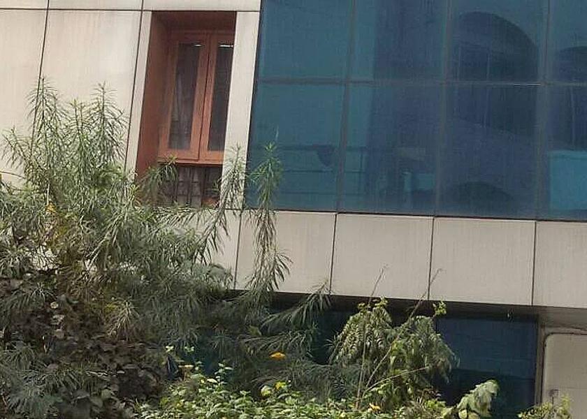Bihar Patna front