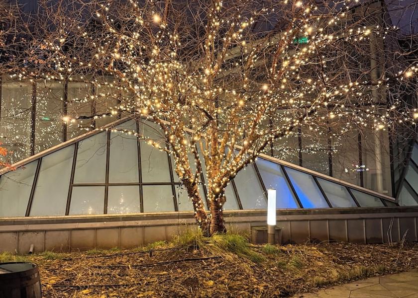 Hovedstaden Copenhagen Terrace/patio