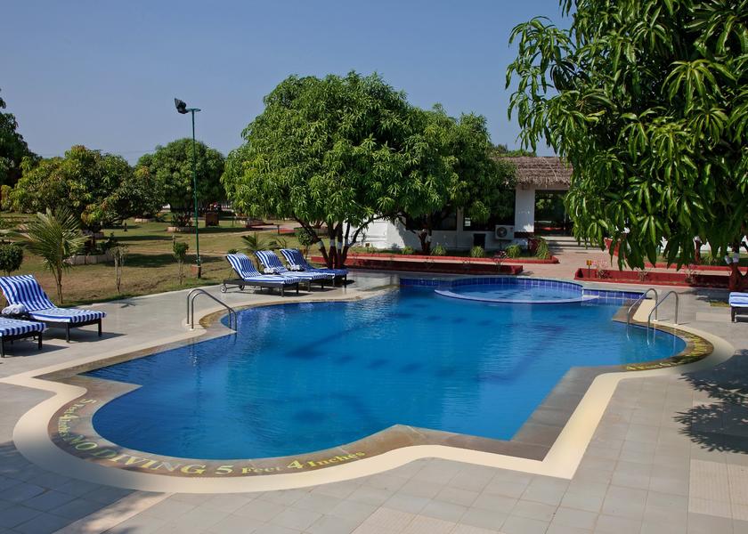 Gujarat Sasan Gir 