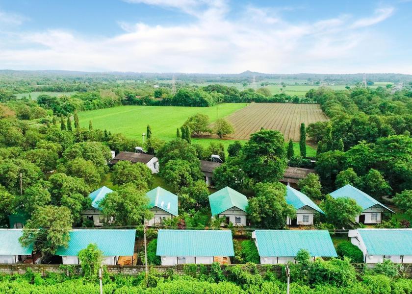 Gujarat Sasan Gir Hotel View
