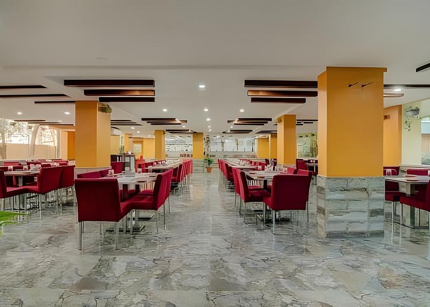 Karnataka Bangalore Food & Dining