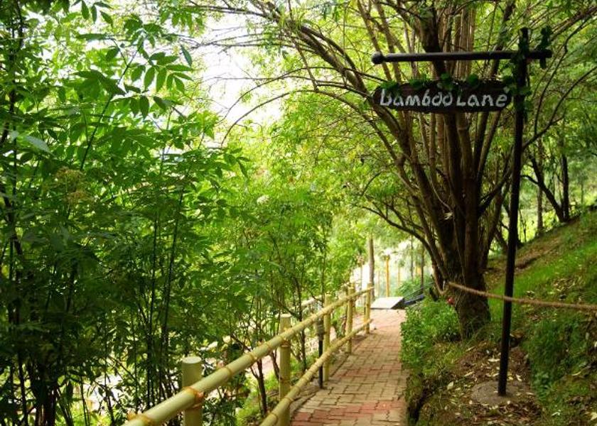 Tamil Nadu Kodaikanal Outdoors