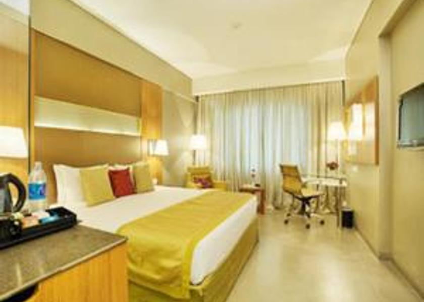 Gujarat Vadodara Hotel View