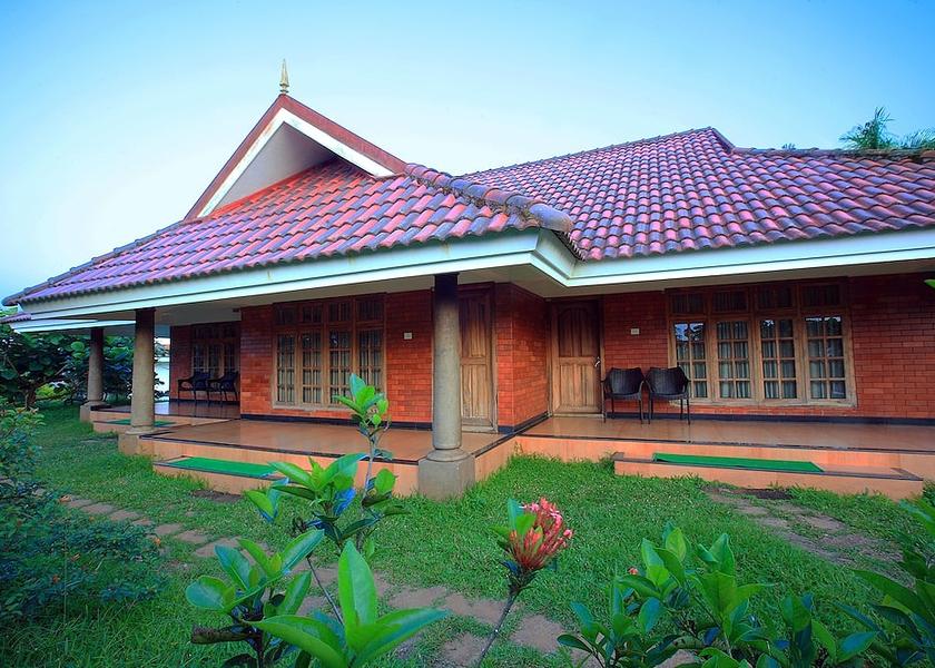 Kerala Wayanad Garden view