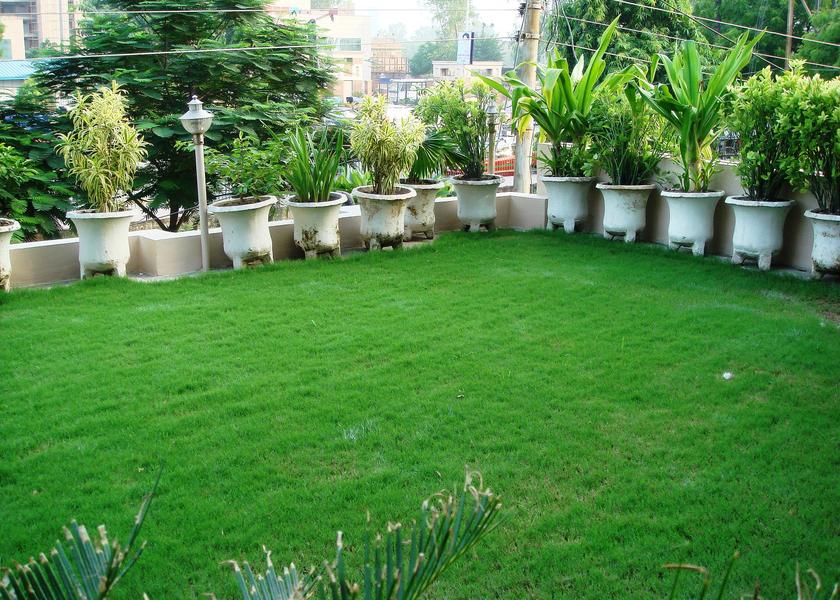 Uttar Pradesh Noida Outdoors