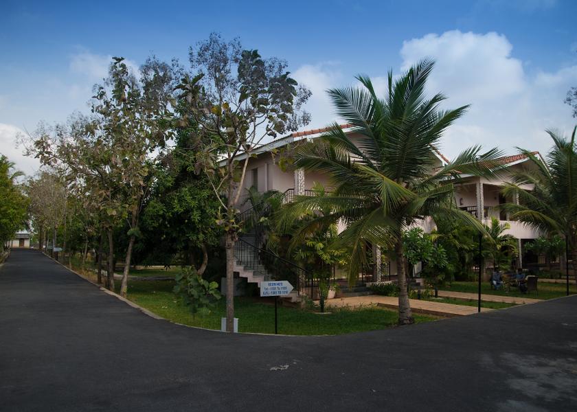 Tamil Nadu Mahabalipuram Outdoors