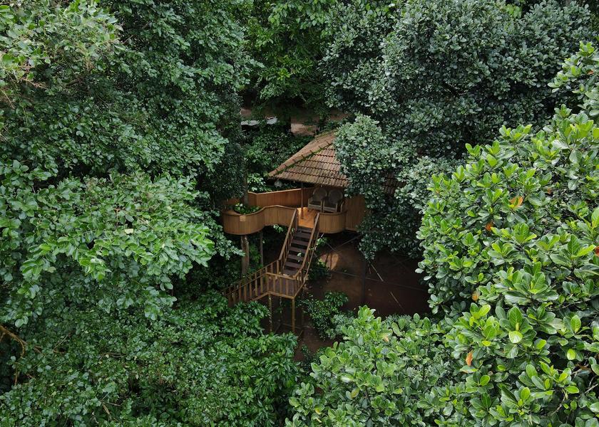 Kerala Wayanad Hotel View