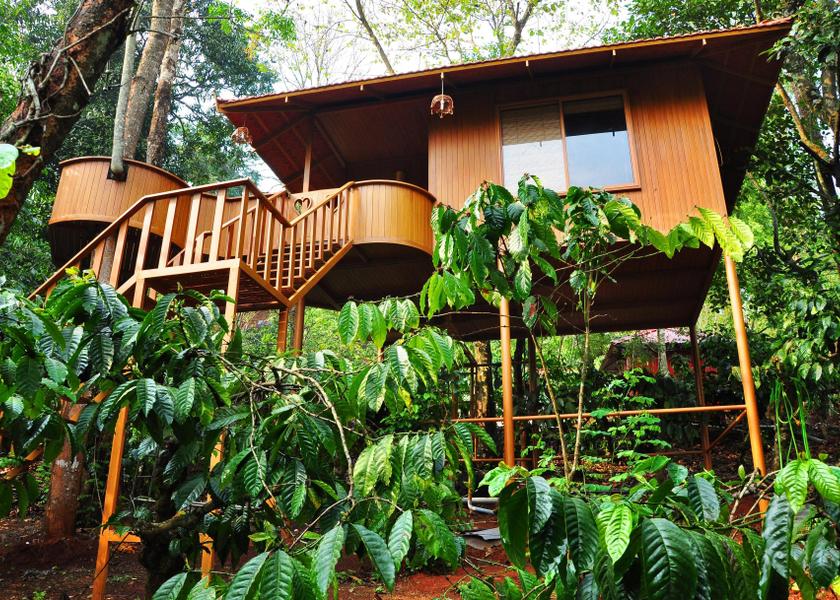 Kerala Wayanad Hotel Exterior