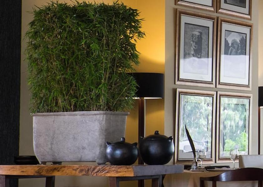 Risaralda Pereira Restaurant