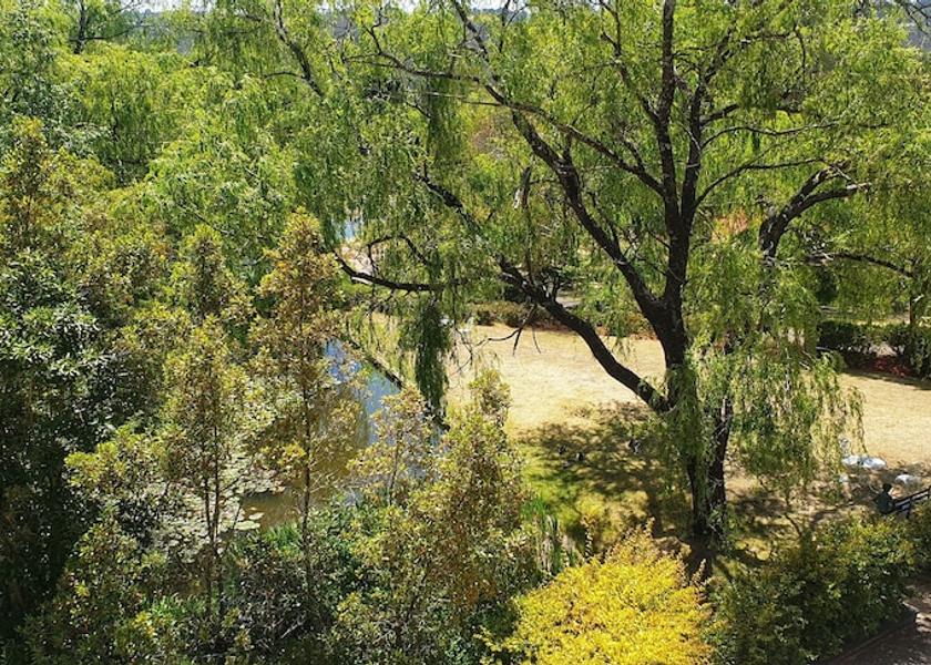 New South Wales Leura View from room