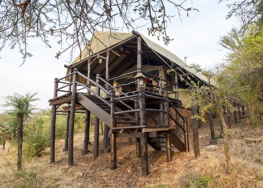 Mara Region Serengeti Property grounds