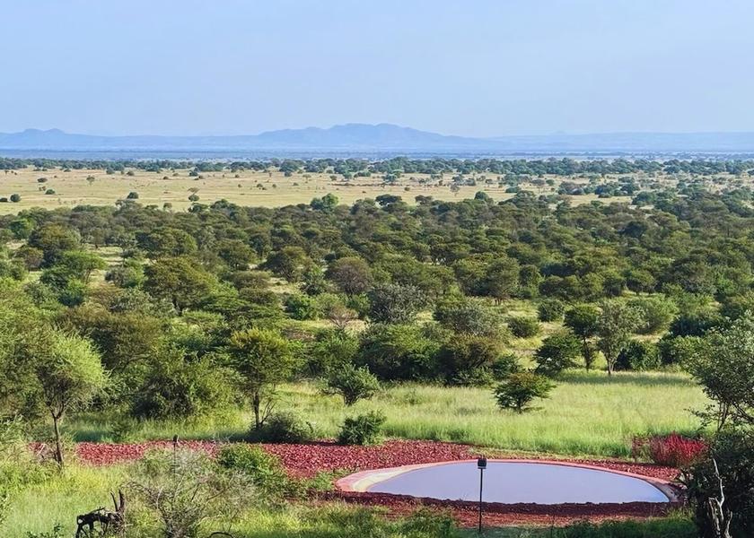 Mara Region Serengeti Game viewing