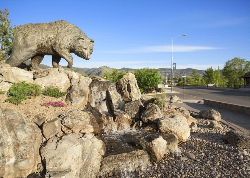 Idaho Salmon Exterior Detail