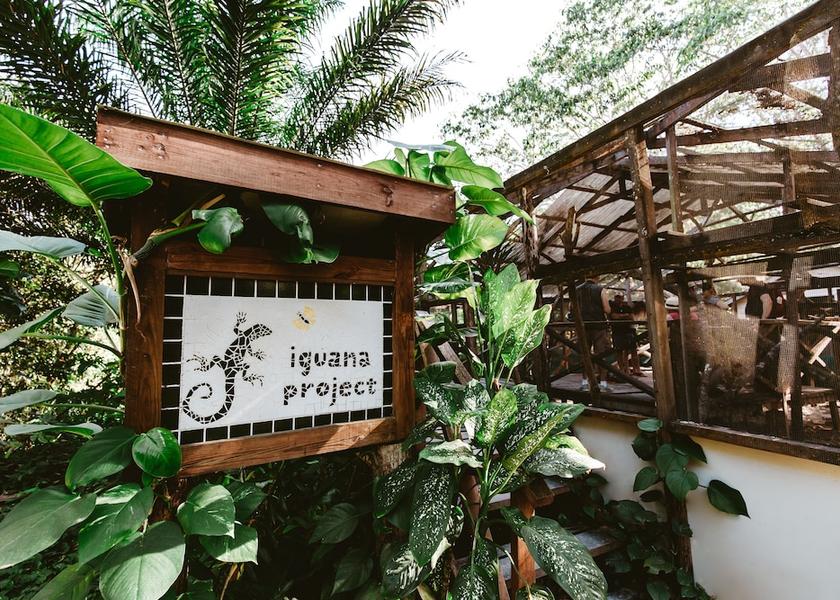 Cayo District San Ignacio Ecotours