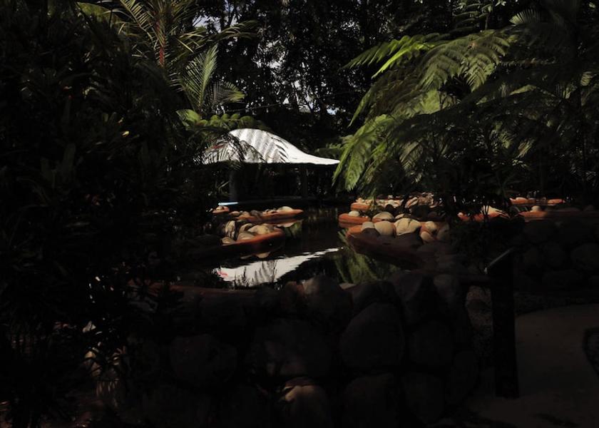 Alajuela La Fortuna Hot springs