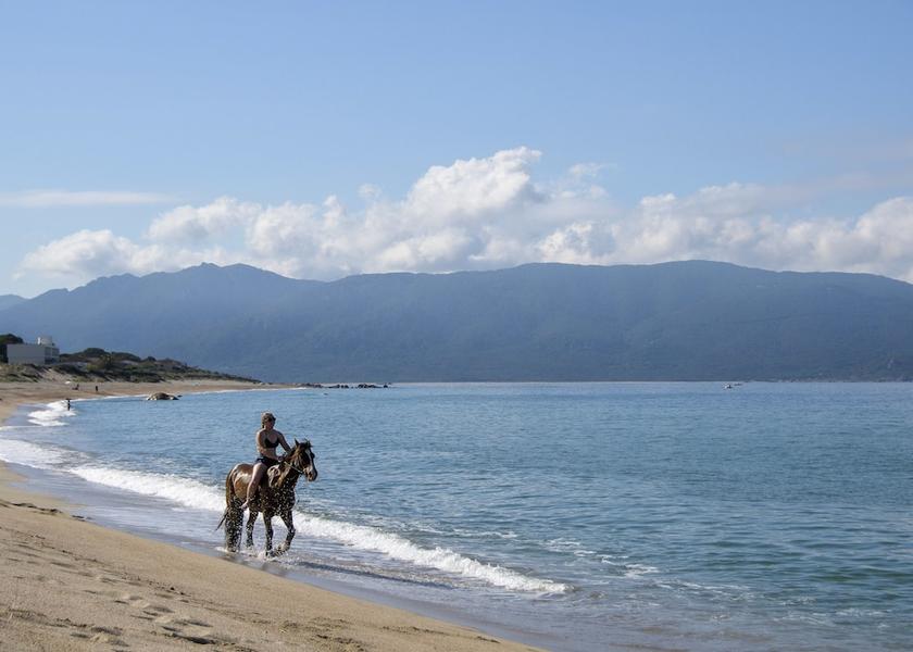 Corsica Serra-di-Ferro Horseback riding