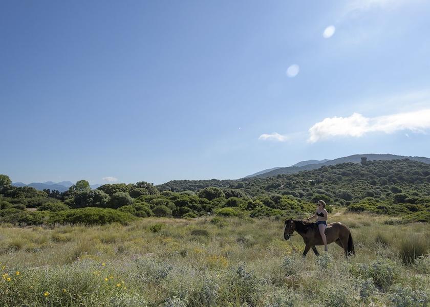 Corsica Serra-di-Ferro Horseback riding