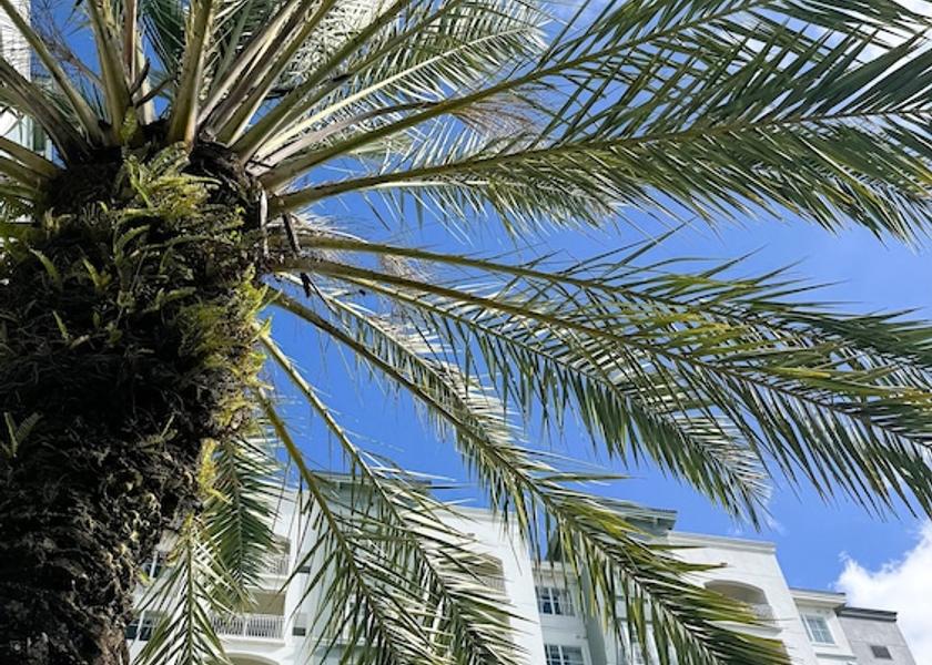 Florida Orlando Exterior Detail