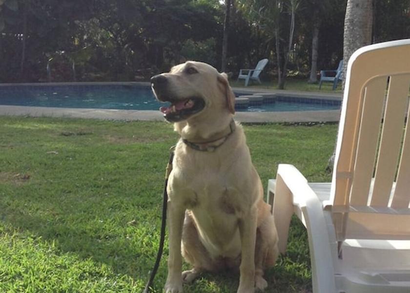Guanacaste Sámara Exterior Detail