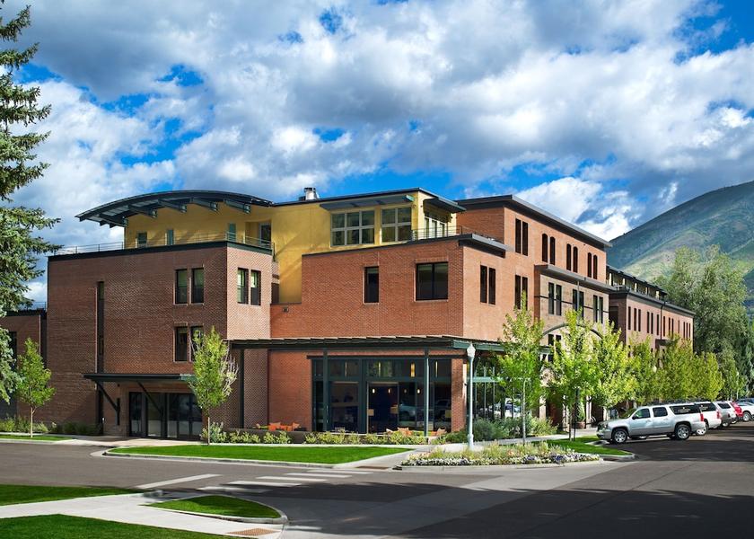 Colorado Aspen Primary image