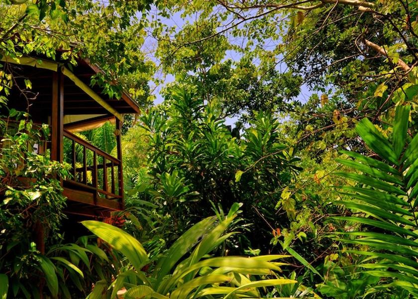  Port Antonio Exterior Detail