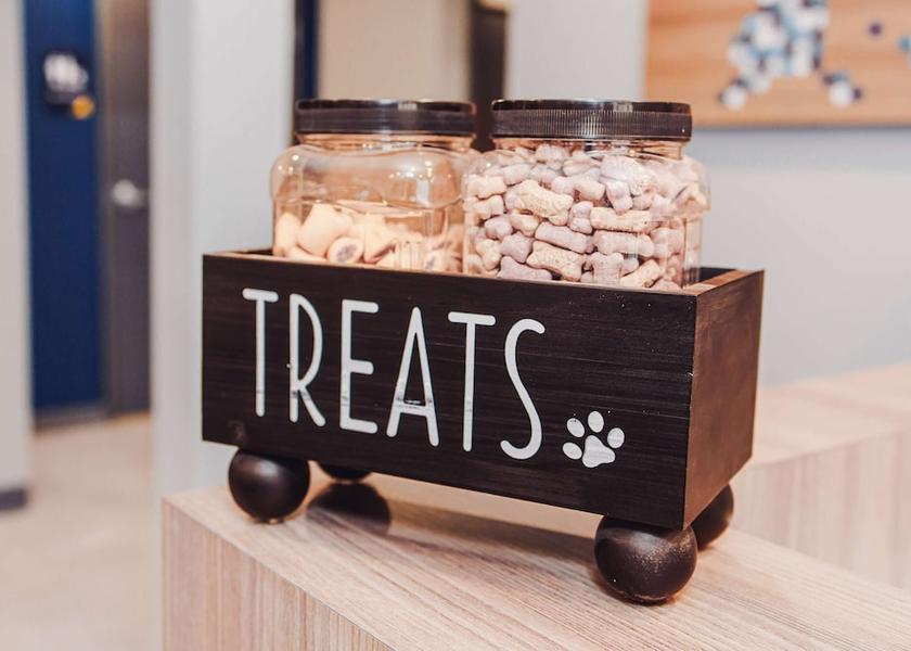 New York Springville Amenity