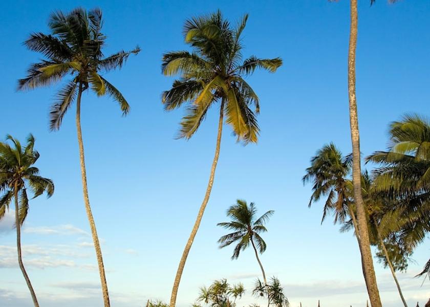 Unguja Kaskazini Region Kiwengwa Point of interest