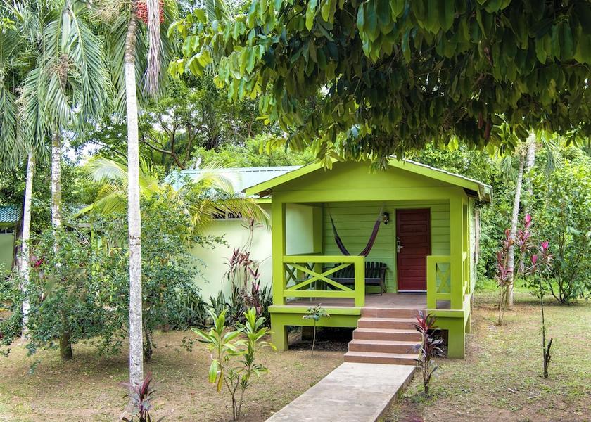 Cayo District San Ignacio Room