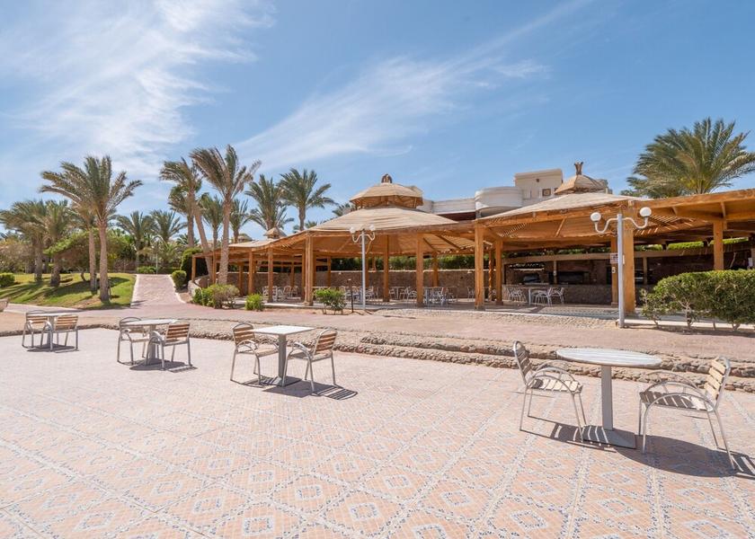 Red Sea Governorate Makadi Bay Beach bar