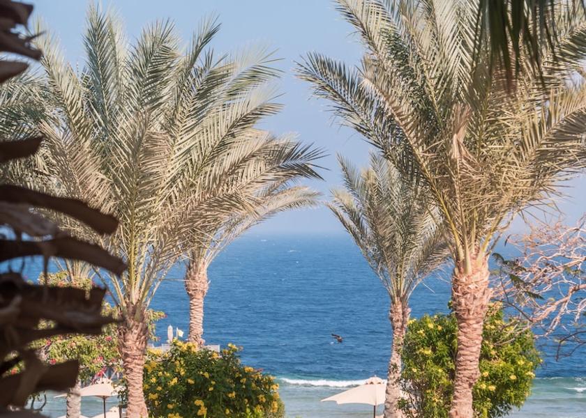 Red Sea Governorate Makadi Bay Garden