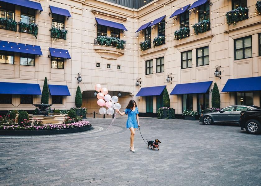 Illinois Chicago Pet-Friendly