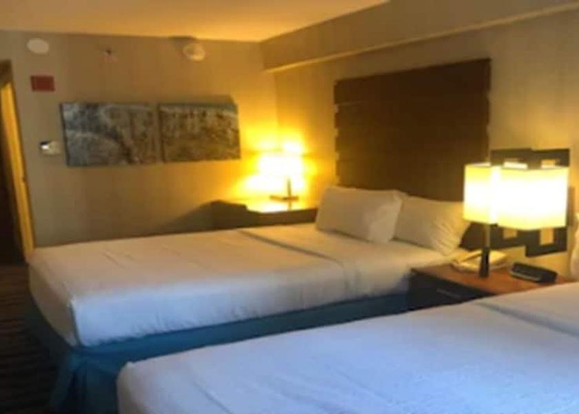 New York New York Room