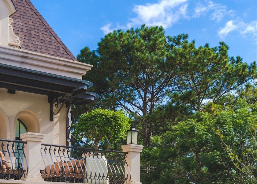 Lam Dong Da Lat Terrace