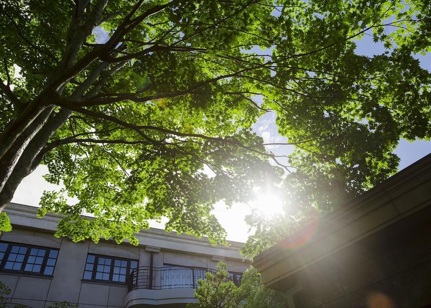 Nagano Karuizawa Courtyard