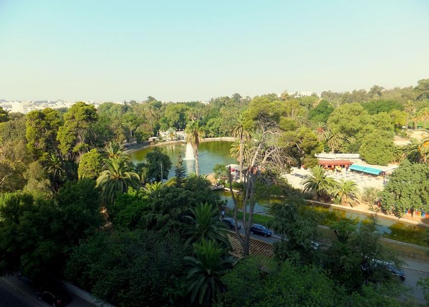  Tunis View from Property