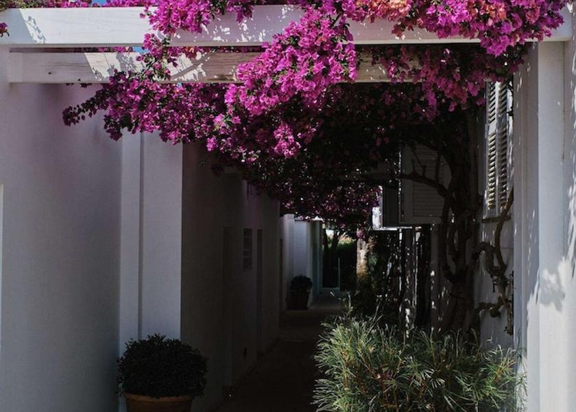 Balearic Islands Alcúdia Exterior Detail