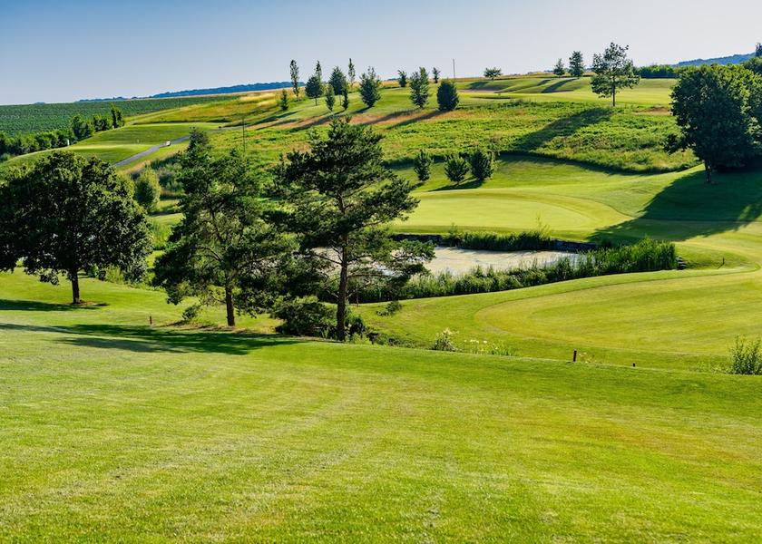 Baden-Württemberg Zweiflingen-Friedrichsruhe Golf