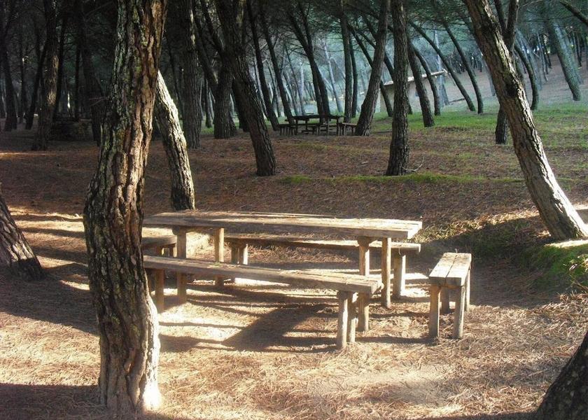 Sicily San Michele Di Ganzaria Property Grounds