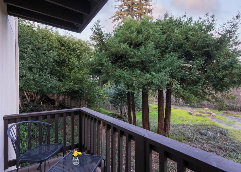 California Guerneville Terrace