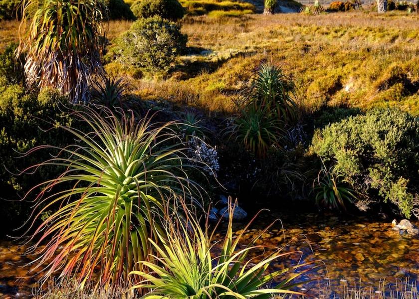Tasmania Cradle Mountain Point of interest