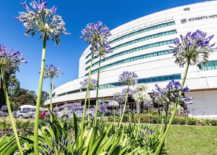 Los Lagos Region Osorno Garden