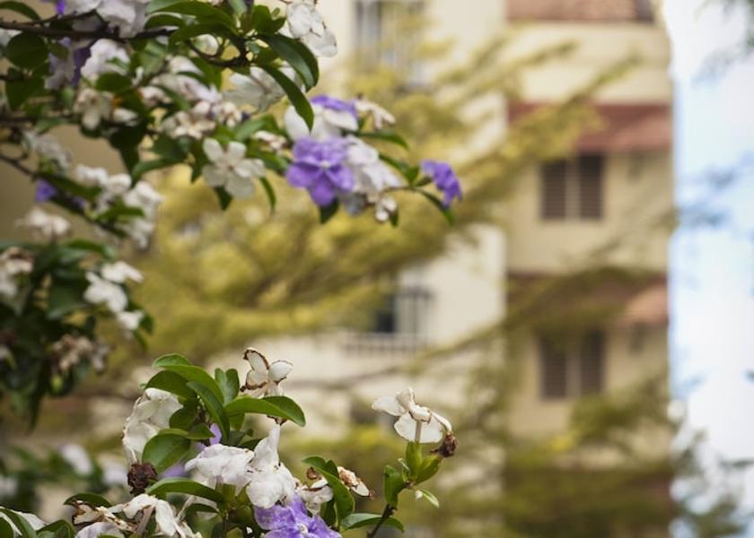 Arusha Region Arusha Property grounds