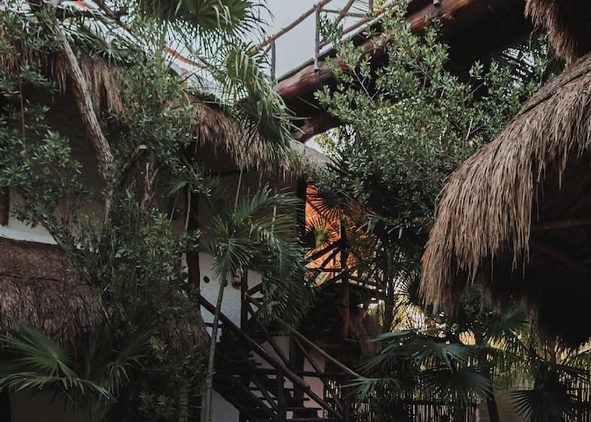 Quintana Roo Isla Holbox Garden