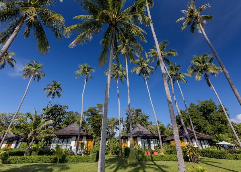 Phuket Rawai Property Grounds