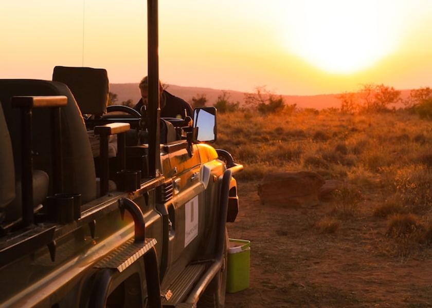 Limpopo Vaalwater Game drive