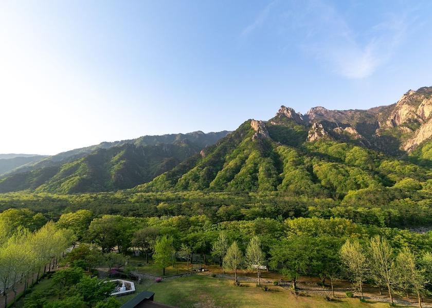 Gangwon Sokcho Room